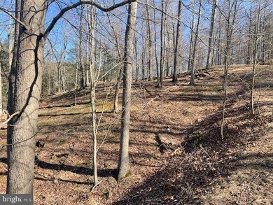 LOT 2 Boulder Dr, Mathias, WV 26812 - photo 6