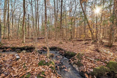 72 Pork Hill Rd, Wolfeboro, NH 03894 - photo 7