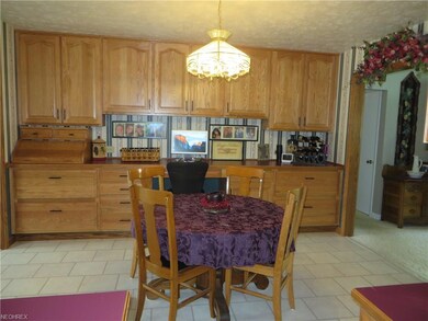 344 S Elm St, Jefferson, OH 44047 - photo 5