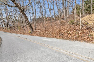 0 Longview Dr unit RTC2660146, Rossville, GA 30741 - photo 3