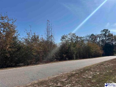 Lot 57 Berry Rd, Latta, SC 29565 - photo 3