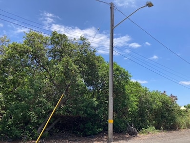 Power pole, street light and fire hydrant at the lot