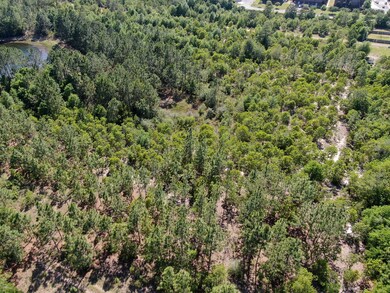 DJI_0495