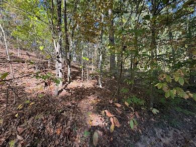 120 Horizon Ln, Lester, WV 25865 - photo 7