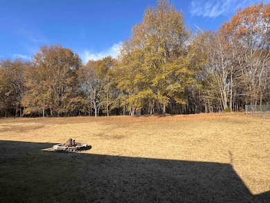 459 Free Stone Ave, Woodruff, SC 29388 - photo 5