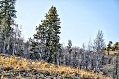 6206 Remington Rd, Como, CO 80432 - photo 2