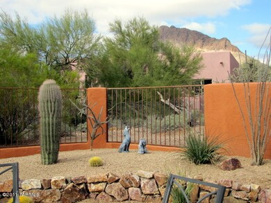 backyard looking north