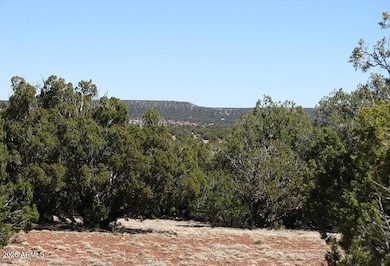 9529 Southern Ln, Show Low, AZ 85901 - photo 5