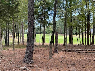 569 Misty Banks Dr, Chapin, SC 29036 - photo 4