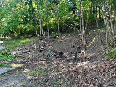 8 Bertha St, Pulaski, VA 24301 - photo 5