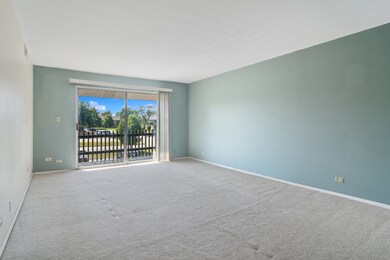 24A Kingery Quarter unit 202, Willowbrook, IL 60527 - photo 3