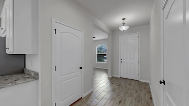 12905 Satin Lily Dr, Riverview, FL 33579 - photo 7