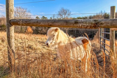 10565_Callands_Rd_Callands_VA_24530_USA-