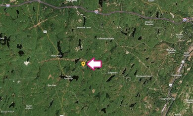 1113 Silver Lake Rd, Dingmans Ferry, PA 18328 - photo 6