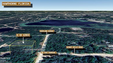 0 Maryland Ave unit 25726265, Hawthorne, FL 32640 - photo 5