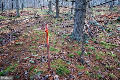 Lot 70 & 71 Mill Mountain Rd, Romney, WV 26757 - photo 3