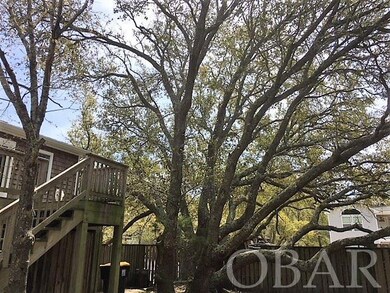 Rear Live Oak by Deck