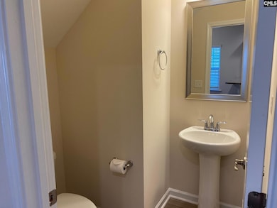 945 Bergenfield Ln, Chapin, SC 29036 - photo 5