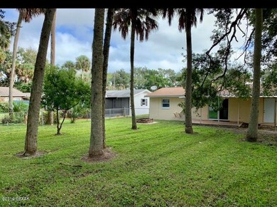 back yard