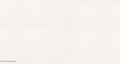 Quartz- Silestone White Zeus