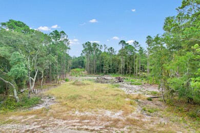 3047OldFerryRdSW - 1
