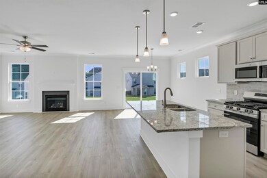 620 Thunder Gulch Ave, Lexington, SC 29073 - photo 3