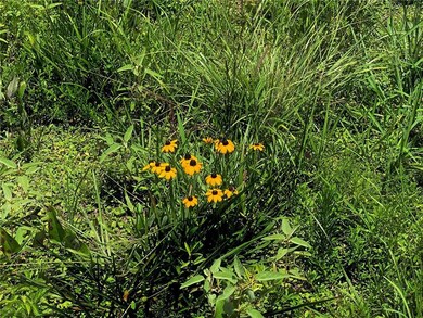 315 Gulde Rd, Trout, LA 71371 - photo 7