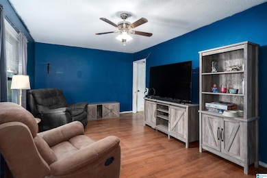 735 10th Way, Pleasant Grove, AL 35127 - photo 3