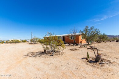 Natural Desert Front Yard