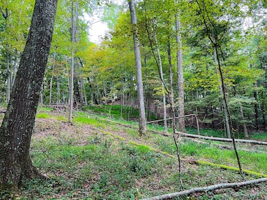 47/7 Do Rd unit Lot WP001, Harrisville, WV 26362 - photo 4