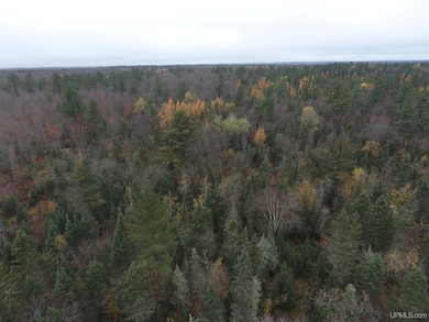 19495 S Nestoria Rd, Michigamme, MI 49861 - photo 6