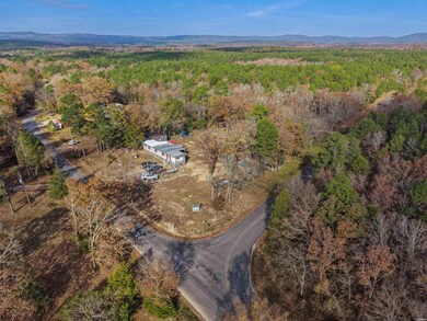 458 Union Hill Rd, Mount Ida, AR 71970 - photo 5