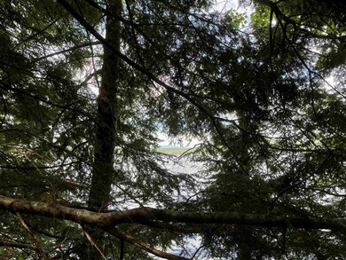 00 Moss Flower Ln, Canaan, NH 03741 - photo 5