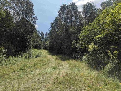 Lot 44.1 New Hampshire 26, Colebrook, NH 03576 - photo 3