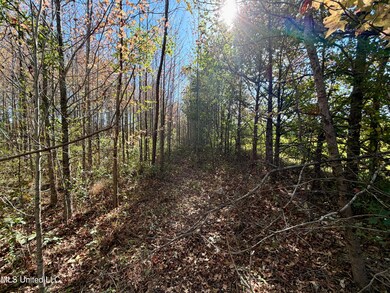 6803 Bowling Green Rd, Durant, MS 39063 - photo 5