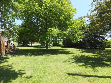 Side yard
