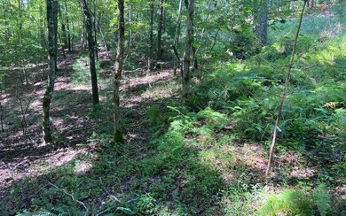 Additional View