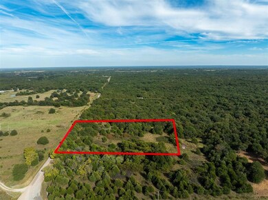 Drone / aerial view featuring a forest view