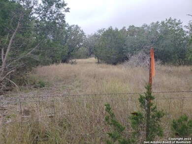 0 County Road 251 unit 1579193, Hondo, TX 78861 - photo 6