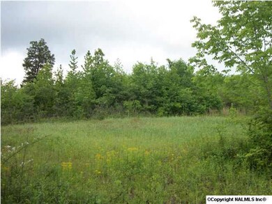 established food plots