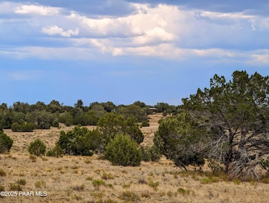 1109 Jackpot Ranch Rd, Seligman, AZ 86337 - photo 3