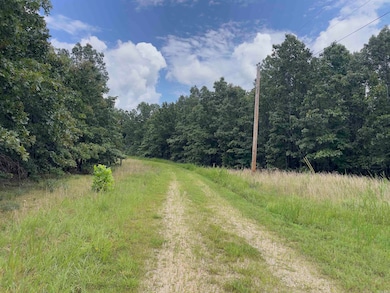 TBD Turkey Springs Ranch Ln, Highland, AR 72543 - photo 5