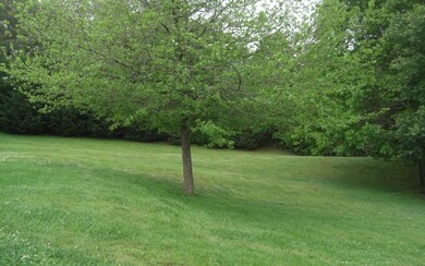 Additional View