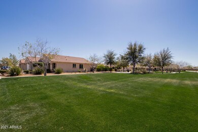 premium green space lot
