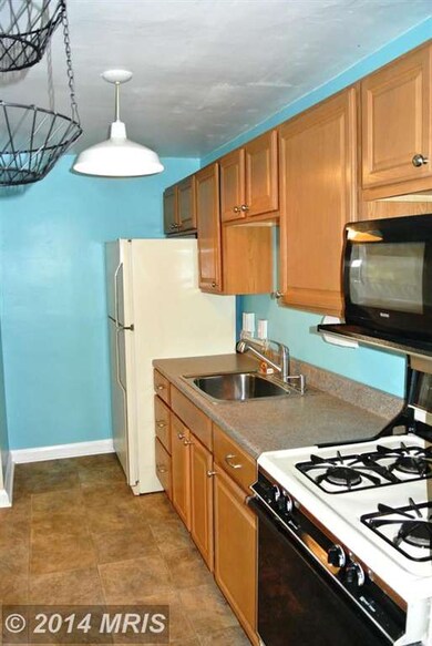 3904 Elm Ave, Baltimore, MD 21211 - photo 6