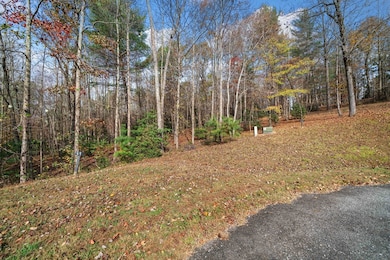 Lot 15 Highpoint Ridge Ct, Ellijay, GA 30536 - photo 4