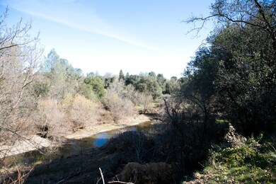 Looking south down creek
