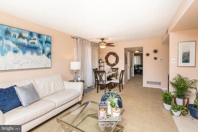 700 Putnam Blvd unit 1B, Wallingford, PA 19086 - photo 6