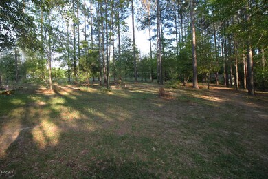 122 Phyllis Ln, Lucedale, MS 39452 - photo 5