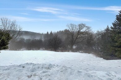 2779 Walker Mountain Rd, West Rutland, VT 05777 - photo 4